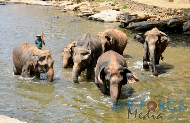 Pakistan Air Force Chief visits Temple of the Sacred Tooth