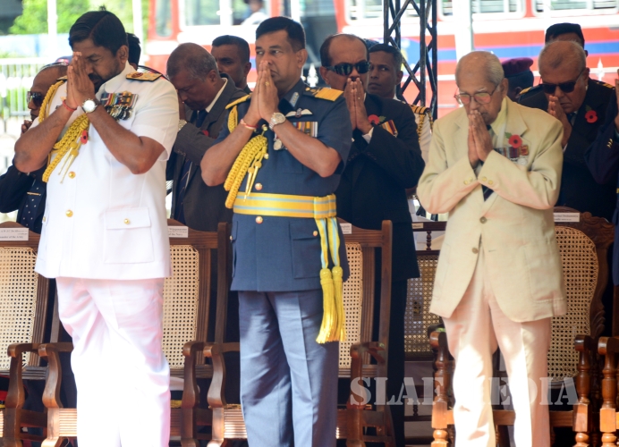 Poppy Day
Salutes Memories of All Fallen War Heroes