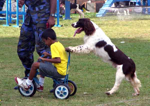 SLAF Colombo International Pre-School annual sports meet - 2009 SLAF Colombo International Pre-School annual sports meet - 2009