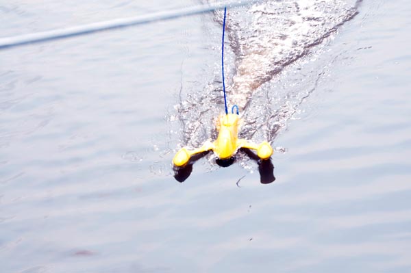 දුරස්ථ පාලක ගුවන් යානා පාසලක්