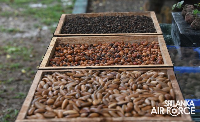 SLAF EXECUTES FIFTH AERIAL SEED BOMBING MISSION