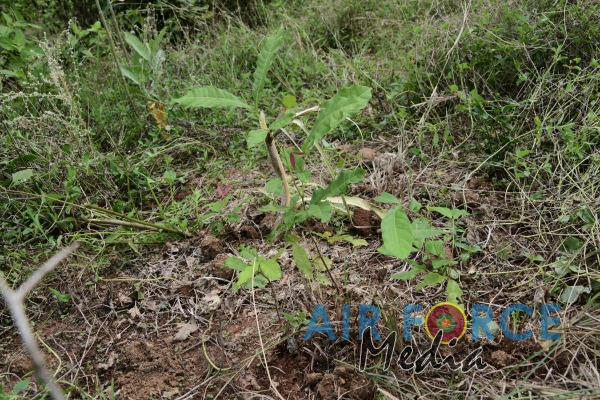 SLAF Command Agro Unit Continues Operations of Monitoring the Outcome of Seed Bombing
