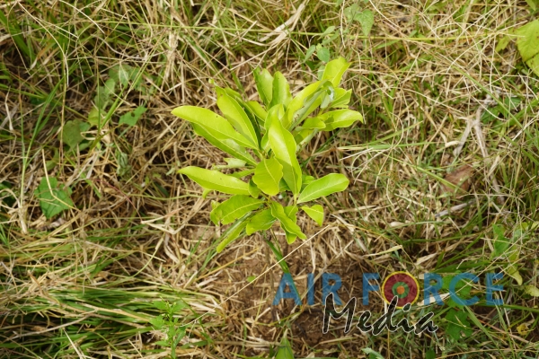 SLAF Command Agro Unit Continues Operations of Monitoring the Outcome of Seed Bombing