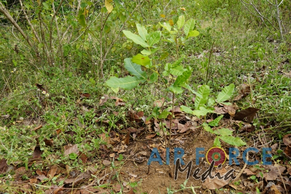 SLAF Command Agro Unit Continues Operations of Monitoring the Outcome of Seed Bombing