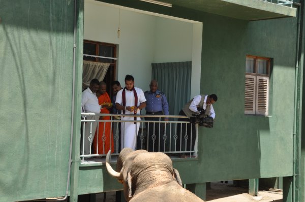 Unveiling of Buddha Statue by H.E. the President at Sithul Pauwa
Raja Maha Viharaya