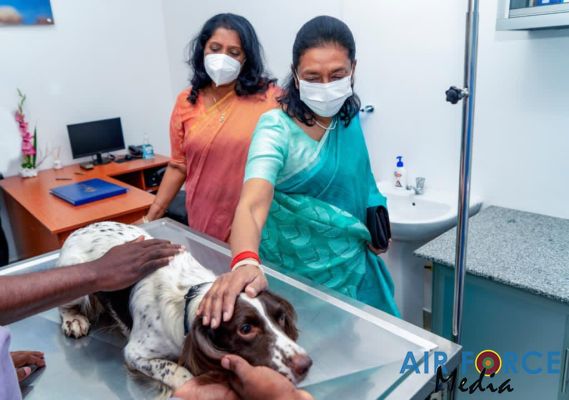 NEWLY
CONSTRUCTED SKY PET ANIMAL HOSPITAL DECLARED OPEN