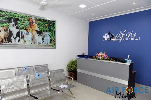 NEWLY
CONSTRUCTED SKY PET ANIMAL HOSPITAL DECLARED OPEN
