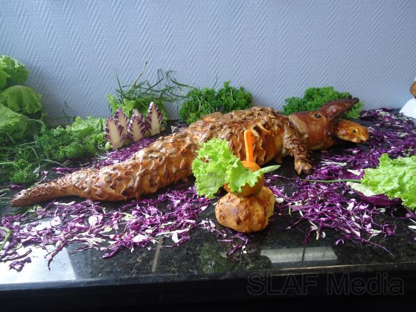 ගුවන් හමුදා සූප වේදීන්ගේ දක්ෂතා ඔප්නංවයි