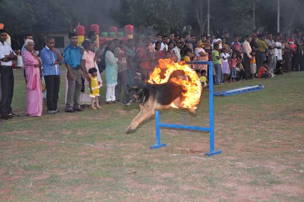 SLAF Ekala Annual Get Together and Children’s Party