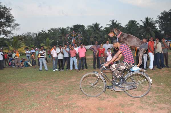 SLAF Ekala Annual Get Together and Children’s Party