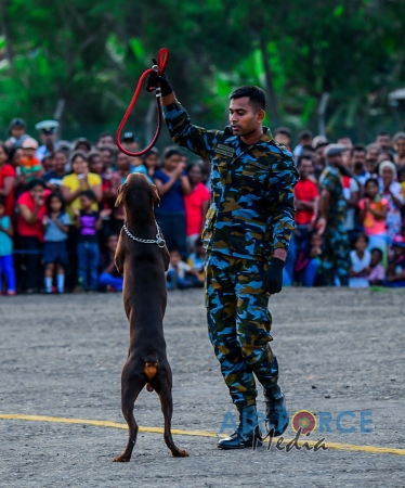 Large Crowds on the Second Day of 'Air Tattoo 2019'