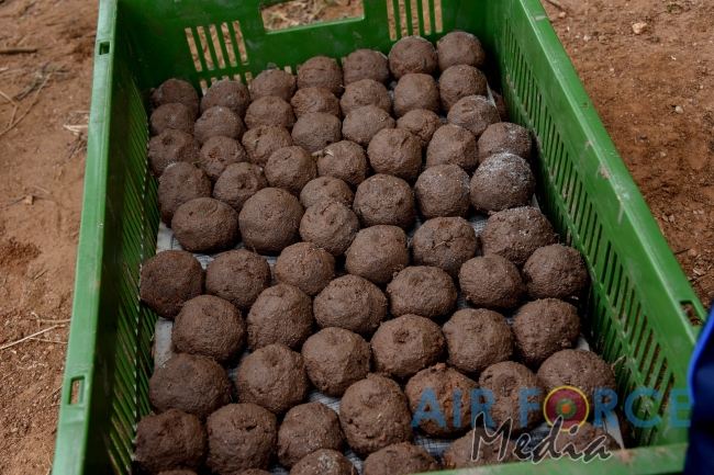 SLAF Resumed Reforestation Programme in Udawalawe Forest Reserve