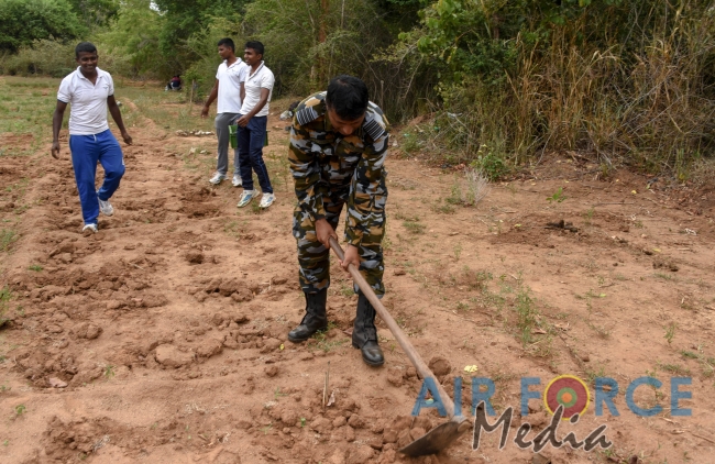 SLAF Resumed Reforestation Programme in Udawalawe Forest Reserve