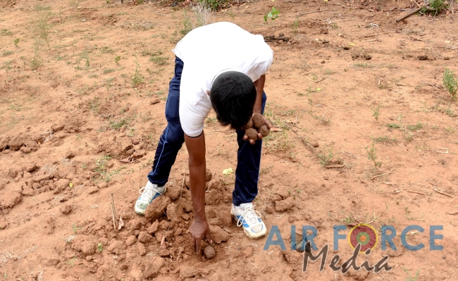 SLAF Resumed Reforestation Programme in Udawalawe Forest Reserve
