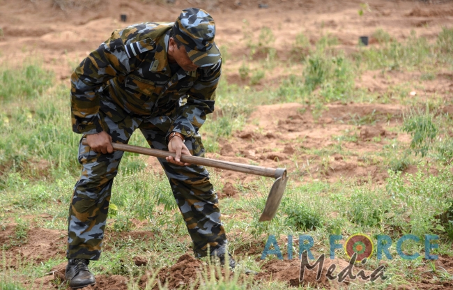 SLAF Resumed Reforestation Programme in Udawalawe Forest Reserve