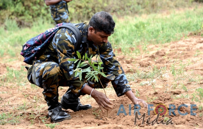 SLAF Resumed Reforestation Programme in Udawalawe Forest Reserve