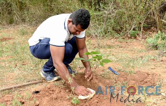 SLAF Resumed Reforestation Programme in Udawalawe Forest Reserve