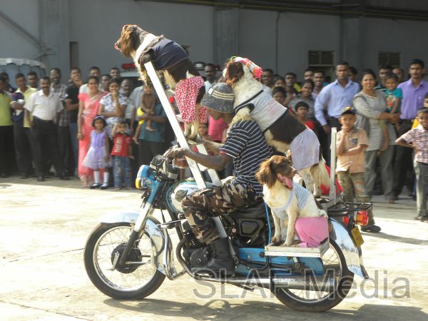 Annual Children’s Party And Get-Together Of SLAF Base Vauniya